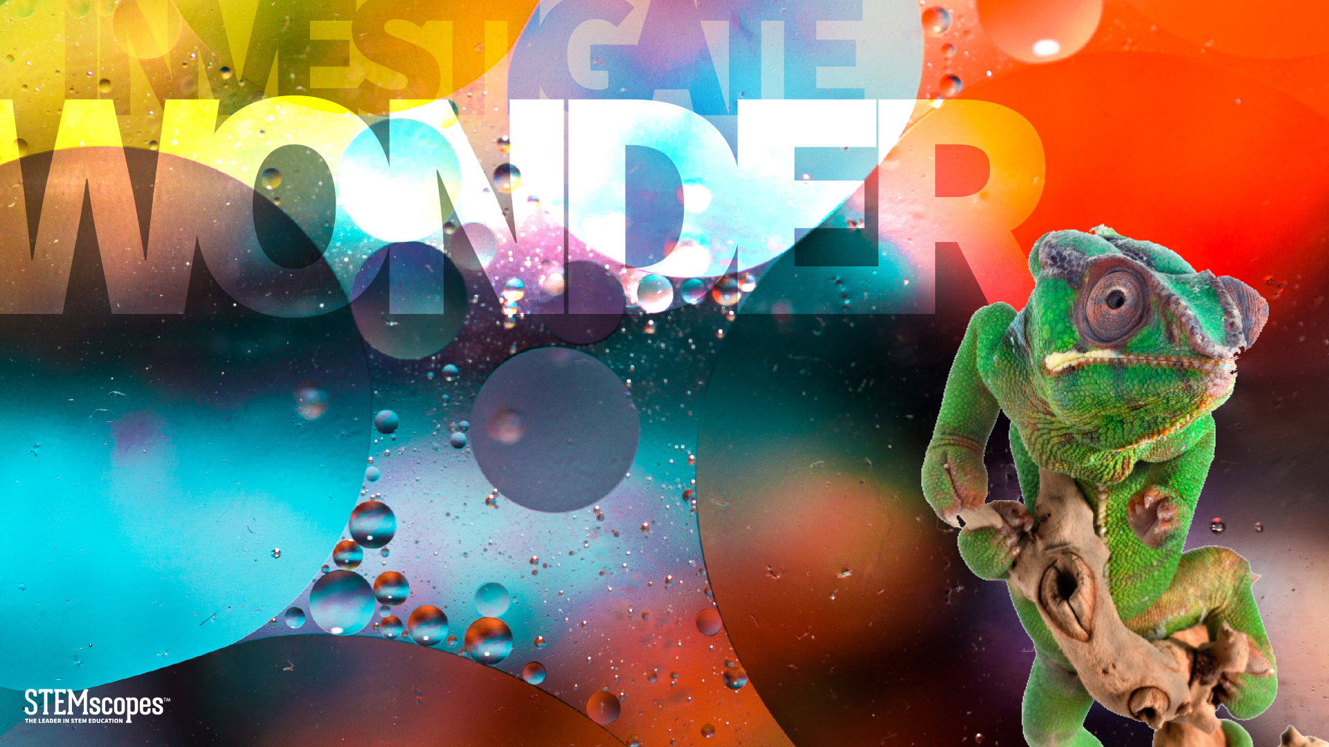 STEMscopes Science Zoom Backgrounds